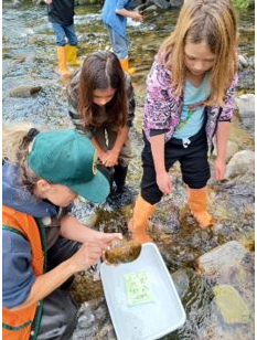 Lake Roosevelt Water Festival