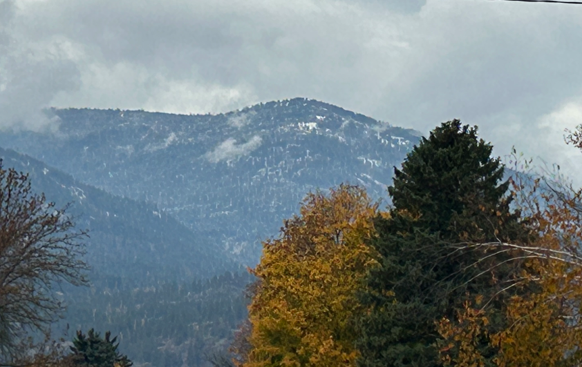 Inclement Weather Procedures