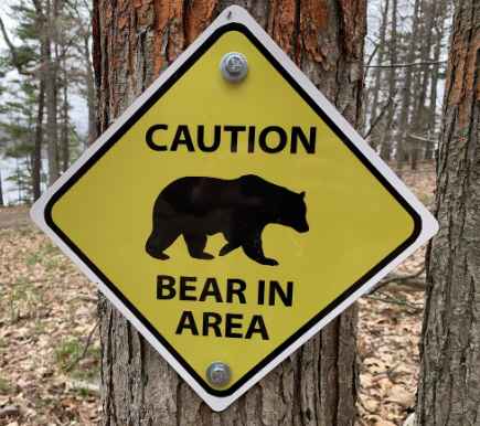 Bear in area sign graphic