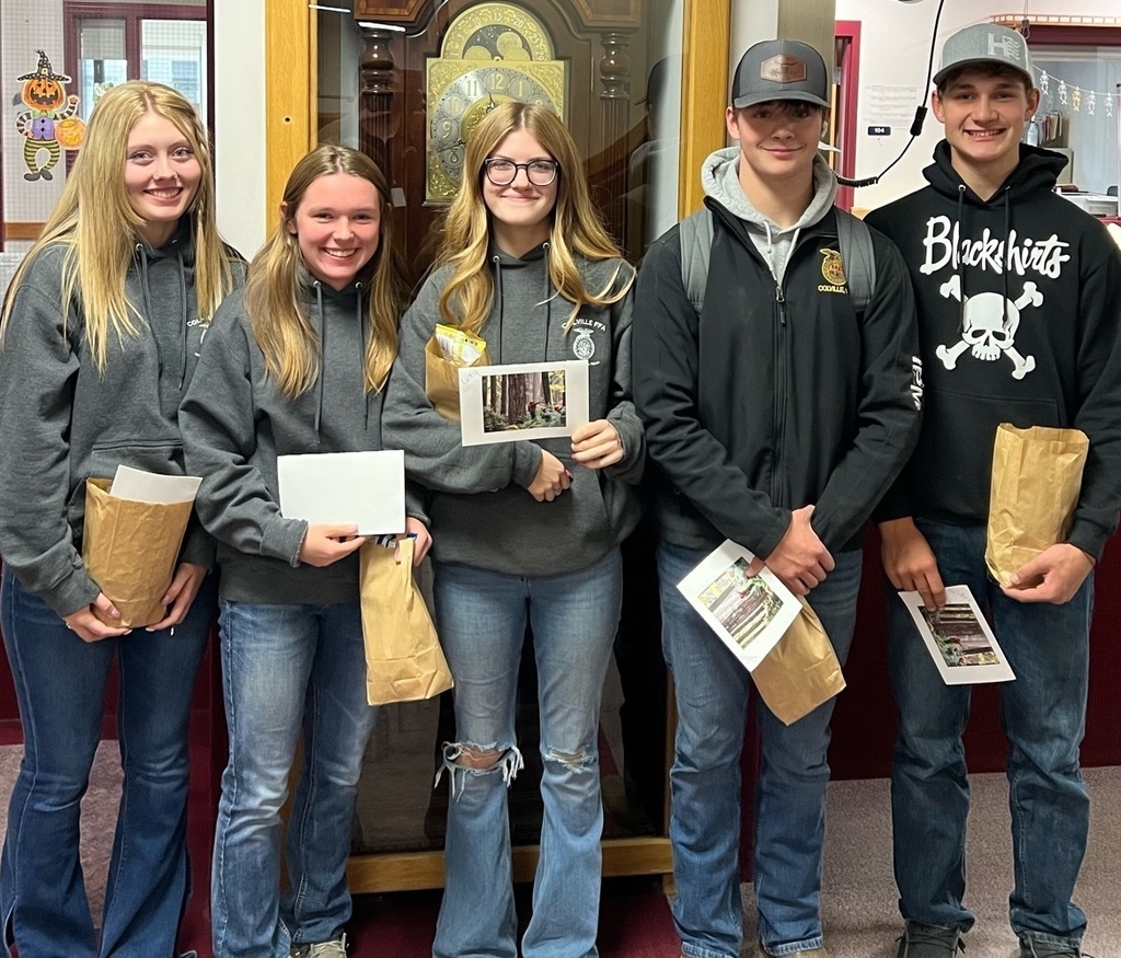 National forestry team